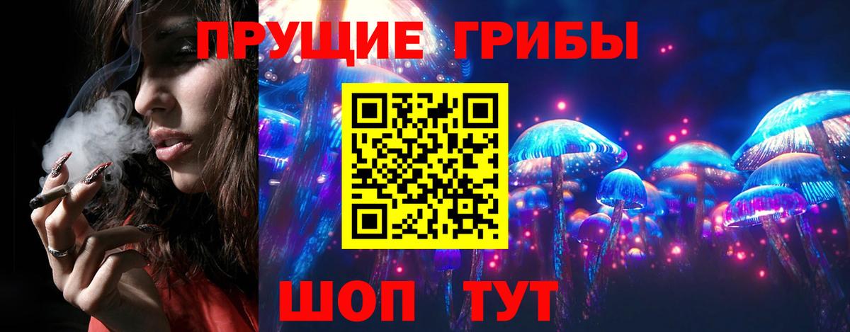Псилоцибиновые грибы Cubensis Вятские Поляны