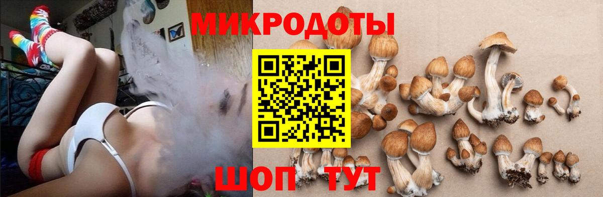Вятские Поляны  Псилоцибиновые грибы прущие грибы  цена   Вход с VPN 